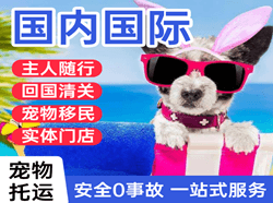 伊金霍洛空运国际宠物托运 【国